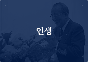 인생